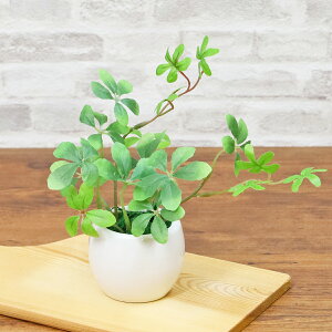  CeA ϗtA ~j v`O[AW VK[oC tFCNO[ VNt[ CTG} G} mgr