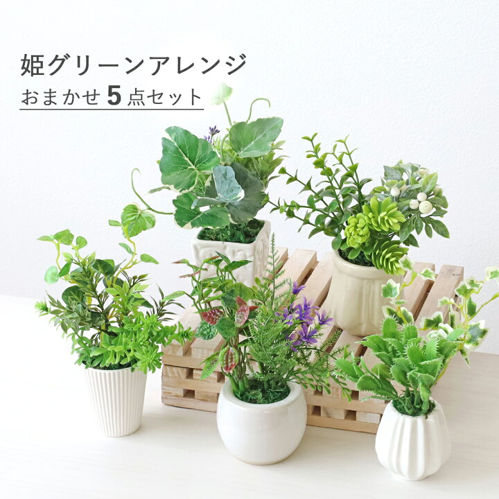 楽天市場】造花 インテリア 姫グリーンアレンジ5個おまかせセット 観葉 