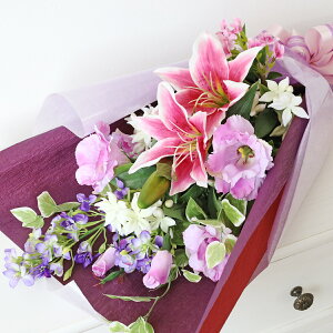  gRLLEƃ̉ԑ [ VNt[ CTG} G}  hV̓ AW t[AW CeA t[AWg arg