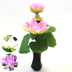    @̉ [^XubV ԊtZbg ~I I VNt[ ފ ~ d   sN p[v zCg CTG} G} btb