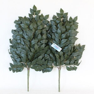  Ђ qTJL   P rVR VNt[ CTG} G} skm