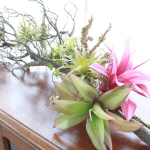  CeA }Uj[^̃GAvcnMÕAW VNt[ ϗtA tFCNO[ CeAO[ CTG} G} t[AW t[AW