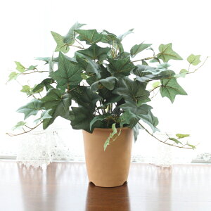  UVJbgdl ACr[̔A35cm  VNt[ CTG} G} mgr