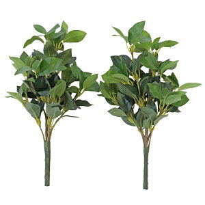   VL~       VNt[ ފ ~ d     niVo CTG} G} skm