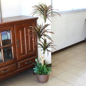  CeA ϗtA ^ bJvgO{ 120cm Vz JX J@ j tFCNO[ CeAO[ CTG} G} snb bgr