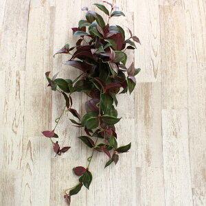  CeA _O̕ǂ ϗtA tFCNO[ CeAO[ CTG} G} mgr