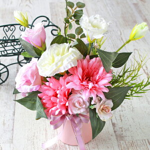  gRLLEƃK[x̃AW AW k VNt[ CTG} G} t[AW CeA t[AWg arg