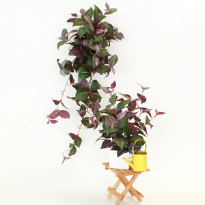  CeA _OuĊ|ăZbg ϗtA tFCNO[ CeAO[ CTG} G} AW t[AW t[AWg arg