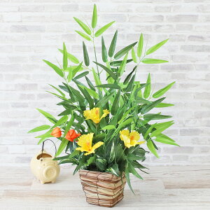  CeA ƃnCrXJX̃AW [ ϗtA tFCNO[ CeAO[ VNt[ CTG} G} t[AW t[AWg arg