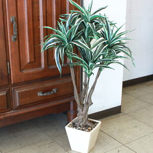  ϗtA CeA hZi[lbL 80cm VNt[ tFCNO[ CeAO[ CTG} G} bgr