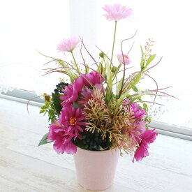 楽天市場 コスモス 花 観葉植物 花 ガーデン Diy の通販