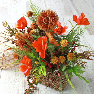  Ȃǂ񂮂ƌI̒uĂǊ|AW VNt[ hO  N CTG} G} t[AW CeA t[AWg arg