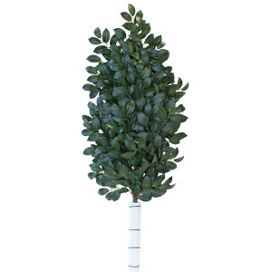    120cm { VNt[    _ n _  TJL CTG} G} bgr