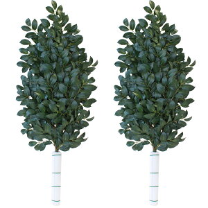    120cm  VNt[    _ n _  TJL CTG} G} bgr