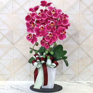 Ӓ  ~jӒ̎荠ȑ傫̔A 3{ VNt[ R`E  傤   o[KfB ~fB  Ε NNn A  Mtg v[g