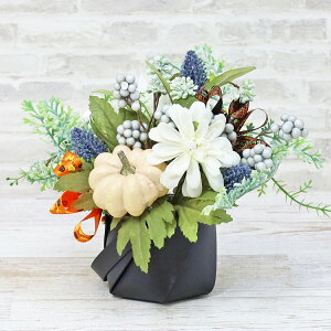 AEgbg  zCgpvLƃ~gn̎̂̃AW nEB ڂ J{` VNt[ H̃AW CTG} G} t[AW CeA t[A