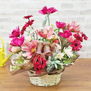  RXXƃ~jo̔JSAW H̃AW VNt[  H KN  CTG} G} t[AW CeA t[AWg arg