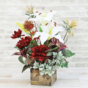  ƃCJ[̋ȅHAW H̃AW VNt[ CTG} G} t[AW CeA t[AWg arg