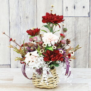  I[^J[ɂ₳ȃ_A|Cg̃AW H̃AW VNt[ CTG} G} t[AW CeA t[AWg arg