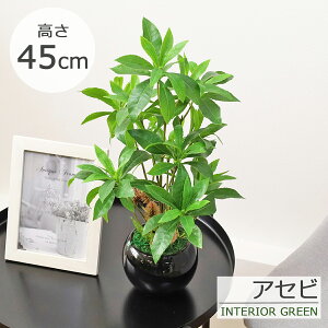造花 インテリア 観葉植物 アセビのポットアレンジ フェイクグリーン インテリアグリーン 光触媒 CT触媒 シルクフラワー mgr