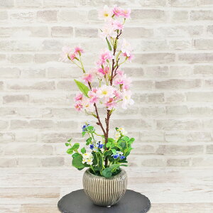  IIUN̔AAW VNt[ ~t   TN CTG} G} t[AW CeA t[AWg arg