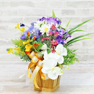  ft@ƃ@CIbgpW[̃AW VNt[ t̃AW CTG} G} t[AWg CeA arg