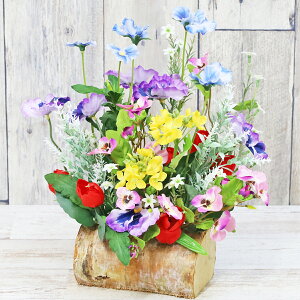  pW[ƍ؂̉Ԃ̖ؐ̉ԊAW VNt[ t̃AW CTG} G} t[AWg CeA arg