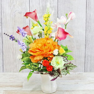  ~jJ[ƃsIj[̖邢AW VNt[ ڂ {^ O CTG} G} t[AWg CeA arg