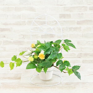  [vACr[̃X^hAW CTG} G} VNt[ t[AW CeA t[AWg arg