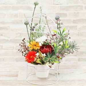  ~jK[xƃS[h̃õAW CTG} G} KN VNt[ t[AW CeA t[AWg arg