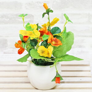  rÎ킢ÃIWnAW VNt[ t̃AW CTG} G} t[AWg CeA arg