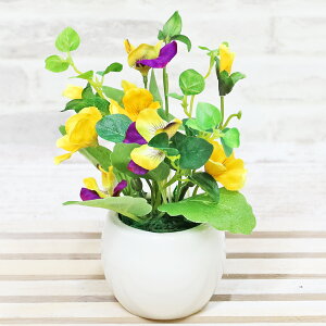  rÎ킢Ãp[vnAW VNt[  t̃AW CTG} G} t[AWg CeA arg