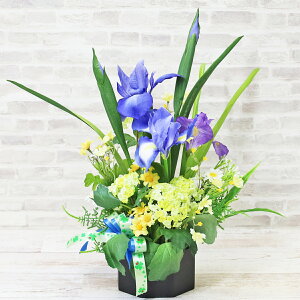  ACXXm[{[ƏԂgp؂̊̃AW VNt[  CTG} G} ACX A  ԏҊ t[AWg CeA arg