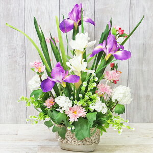  Ƃ߂傤ԂƃK[xf[W[̃AW VNt[  CTG} G} ACX A  ԏҊ q̓ [߂̐ߋ t[AWg CeA arg