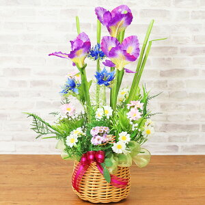  AƃjQ̂AW VNt[  CTG} G} ACX A  ԏҊ t[AWg CeA arg