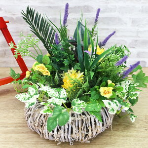  x_[O[̃h[ic[XAW VNt[  CTG} G} x_[ t[AWg CeA arg