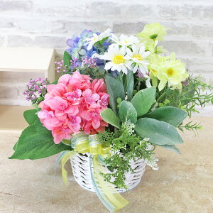  2F̂ƃO[̃oXPbgAW ẴAW  z CTG} G} VNt[ t[AW CeA t[AWg arg