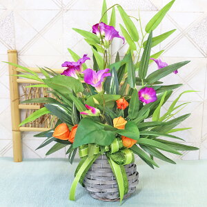  Ƃ̃AW VNt[ CTG} G} S  t[AWg CeA arg