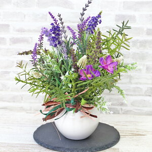  x_[~bNXɃxjJANZg̃AW ẴAW CTG} G} VNt[ t[AW CeA t[AWg arg