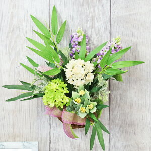  ƃXm[{[̕Ǌ|AW [ ϗtA tFCNO[ CeAO[ CeA VNt[ CTG} G} t[AW t[AWg arg