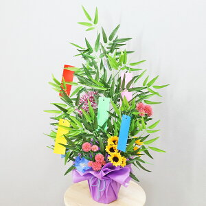  ̔A[ZbgAW [ ϗtA tFCNO[ CeAO[ CeA VNt[ CTG} G} t[AW t[AWg arg