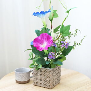  ƖYȑ̃AW  VNt[ CTG} G}  ATKI ܖY XiOT t[AWg CeA arg