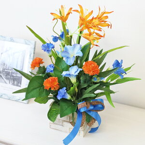  ƃll̃{bNXAW  VNt[ CTG} G}  ATKI  t[AWg CeA arg