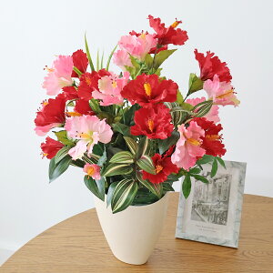  2F̃nCrXJX̃AW ẴAW CTG} G} VNt[ t[AW CeA t[AWg arg