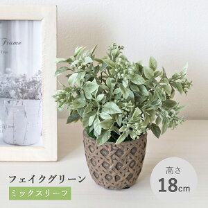  ϗtA tFCN ~bNX[t̔A A   CeA tFCNO[ CeAO[ CTG} G} mgr