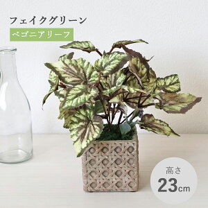  ϗtA tFCN xSjA[t̔A A   CeA tFCNO[ CeAO[ CTG} G} mgr