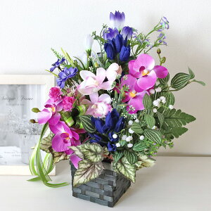  ǂƃ~jft@̎tAW H̃AW VNt[ hE CTG} G} t[AW CeA t[AWg arg