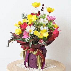  ƃJtȃRXX̃AW H̃AW VNt[ CTG} G} t[AW CeA t[AWg arg