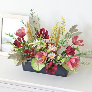  o[KfB̃RXXƃO[̉AW H̃AW VNt[ CTG} G} t[AW CeA t[AWg arg