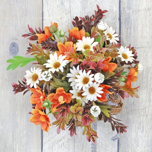  IW̃RXXƃf[W[̕Ǌ|AW H̃AW VNt[ CTG} G} t[AW CeA t[AWg arg